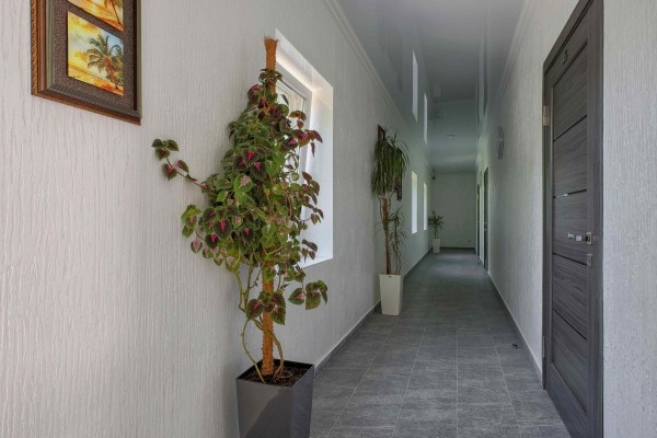 Hotel Grazia (Zatoka)